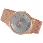 Wristwatch BISSET Newstyle BSDE47RIVX03BX