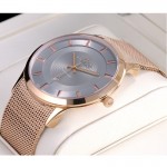 Wristwatch BISSET Newstyle BSDE47RIVX03BX