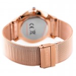 Wristwatch BISSET Newstyle BSDE47RIVX03BX