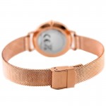 Rokas pulkstenis BISSET Sapphire VI BSBF23RIWX03BX