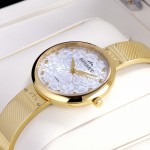 Wristwatch BISSET Lozanna BSBF20GISX03BX