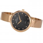 Wristwatch BISSET Lozanna BSBF20RIBX03BX