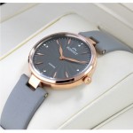 Wristwatch BISSET Asturia BSAF21RIVX03BX