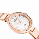 Wristwatch BISSET BSBD32RISX03BX