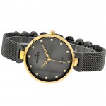 Wristwatch Bisset Bienne BSBF28GIVX03BX