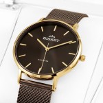 Wristwatch Bisset Brienz BSBF33GIYX03BX