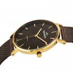 Wristwatch Bisset Brienz BSBF33GIYX03BX