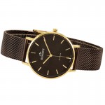 Wristwatch Bisset Brienz BSBF33GIYX03BX