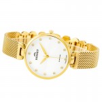 Wristwatch Bisset Bienne BSBF28GISX03BX