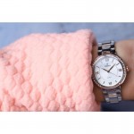 Часы Festina F20221/1