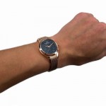 Rokas pulkstenis Festina F20338/3
