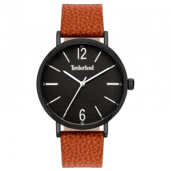 Rokas pulkstenis Timberland TBL.15636JYB/02