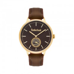 Rokas pulkstenis Timberland TBL.15645MYG/12