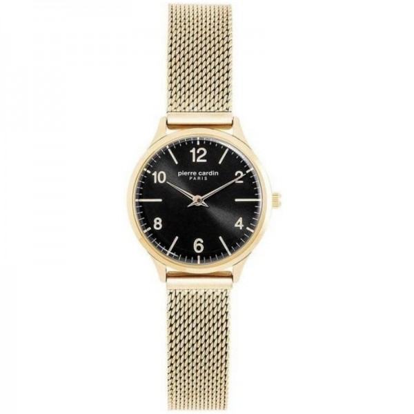 Rokas pulkstenis Pierre Cardin PC902682F117