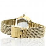 Rokas pulkstenis Pierre Cardin PC902682F117