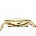Rokas pulkstenis Pierre Cardin PC902682F117