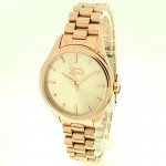 Wristwatch Slazenger Style&Pure SL.9.6246.3.02 Wristwatch Slazenger Style&Pure SL.9.6246.3.02