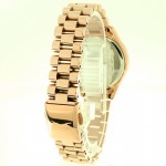 Wristwatch Slazenger Style&Pure SL.9.6246.3.02 Wristwatch Slazenger Style&Pure SL.9.6246.3.02
