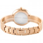 Wristwatch BISSET Lozanna BSBF20RIBX03BX
