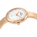 Wristwatch Bisset Lozanna BSBF20RISX03BX