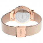 Wristwatch Timex TW2U22900