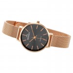 Wristwatch Bisset Soleure BSBF30RIVX03BX