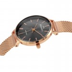 Wristwatch Bisset Soleure BSBF30RIVX03BX