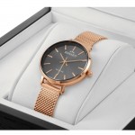 Wristwatch Bisset Soleure BSBF30RIVX03BX