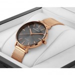 Часы Bisset Maggiore BSBF32RIVX03B1