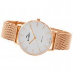 Wristwatch Bisset Brienz BSBF33RISX03B1