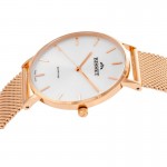 Wristwatch Bisset Brienz BSBF33RISX03B1