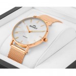 Wristwatch Bisset Brienz BSBF33RISX03B1