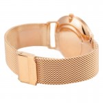 Wristwatch Bisset Brienz BSBF33RISX03B1
