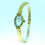 Wristwatch RUBICON RNBC98GAWG03BX