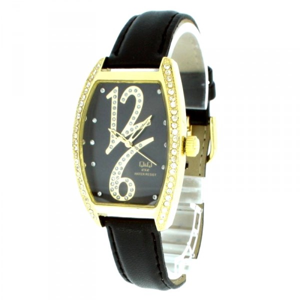 Rokas pulkstenis Q&Q 6881-312Y