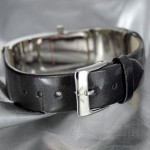 Wristwatch BISSET Miracle Steel BS25C22 LS BK BK Wristwatch BISSET Miracle Steel BS25C22 LS BK BK