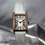 Часы Pierre Cardin PC105172F01