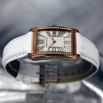 Часы Pierre Cardin PC105172F01
