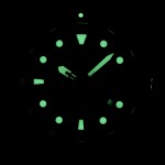 Rokas pulkstenis Orient FAA02006M9