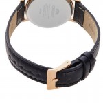 Часы Orient RA-QC1703B10B