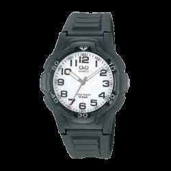 Rokas pulkstenis Q&Q VP84J001Y