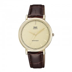 Rokas pulkstenis Q&Q Q978J100Y