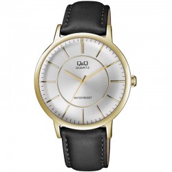 Wristwatch Q&Q QA24J102Y