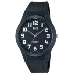 Rokas pulkstenis Q&Q VQ50J004Y