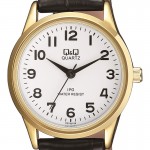Rokas pulkstenis Q&Q C215J104Y