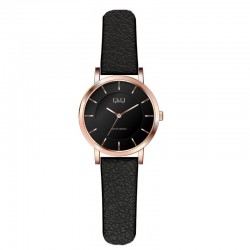 Rokas pulkstenis Q&Q Q945J809Y