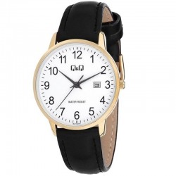 Rokas pulkstenis Q&Q BL76J819Y