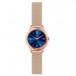 Wristwatch Q&Q QB03J801Y