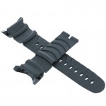 Pulksteņu siksniņa CASIO 10045754