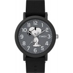 Men's watch Timex TW2T65700